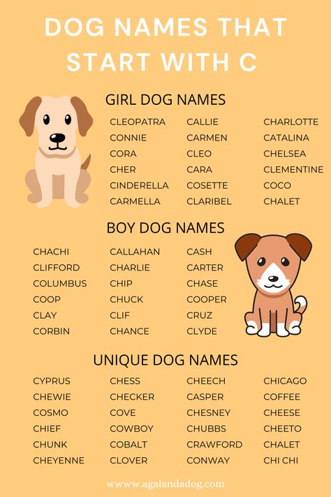 List of dog names that start with C. Unique Dog Names, Dog Names Unique, Boy Dog Names, Girl Dog Names, Female Dog Names, Best Dog Names, Cute Names For Dogs, Names Boy, Names Unique