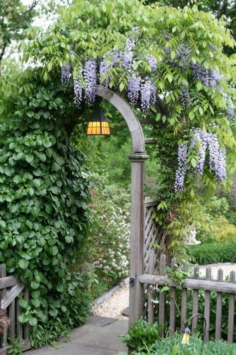 Garden Gates And Fencing, Garden Gate Design, Flowers Growing, Pergola Garden, Garden Vines, Garden Arches, Garden Arbor, Have Inspiration, The Secret Garden