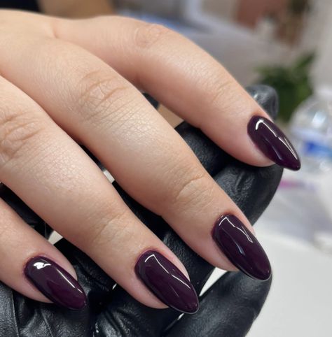 rosewood Dark Plum Acrylic Nails, Grape Color Nails, Dnd Rosewood, Plum Aesthetic Color, Plum Nails Design, Deep Purple Acrylic Nails, Fall Nail Gel Colors, Eggplant Color Nails, Deep Purple Nail Ideas