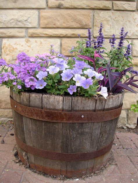 May 22, 2012 on the sidewalk, always two big whisky barrels of flowers...usually purples. Flowers In Barrels, Whisky Barrel Flowers, Wiskey Barrell Ideas Plants, Flower Barrel Ideas, Barrel Flower Pot Ideas, Whiskey Barrel Planter Flowers, Barrel Garden Ideas, Barrel With Flowers, Whiskey Barrel Flowers