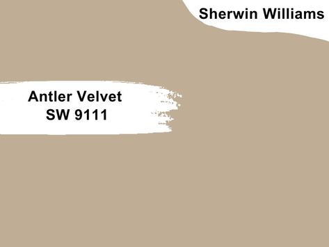 Antler Velvet is a warm brown paint color with earthy tones. It brings the outdoors to you and makes a room inviting and cozy. And because the color is neutral, it pairs well with other neutral hues and nature-inspired shades. Antler Velvet Sherwin Williams Kitchen, Sw Antler Velvet, Sherwin Williams Antler Velvet Paint, Sherwin Williams Antler Velvet, Sherwin Williams Soft Suede, Sherwin Williams Temperate Taupe, Antler Velvet Sherwin Williams, Best Taupe Paint Color Sherwin Williams Master Bedrooms, Antler Velvet