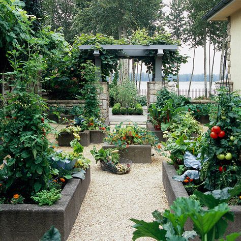 Who says your #vegetable garden can't have the same formal flair as the rest of your landscape? Gorgeous! Bed Layout, Vegetable Garden Beds, Raised Vegetable Gardens, Vegetable Beds Raised, Vegetable Garden Raised Beds, Building A Raised Garden, Veg Garden, Tomato Garden, Have Inspiration