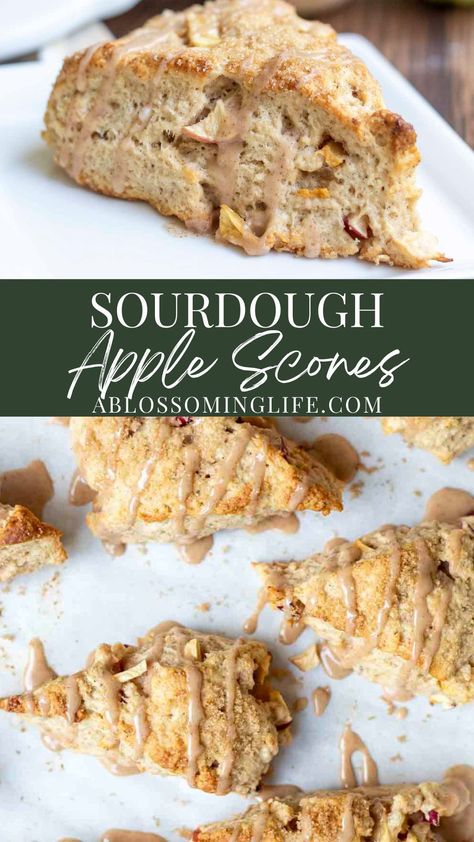 These sourdough apple scones are full cinnamon and apples and then topped with an apple glaze for the most delicious fall dessert. Perfect for breakfast, dessert, or brunch. Apple Scones Sourdough, Apple Scones Healthy, Apple Discard Recipes, Sourdough Apple Cinnamon Scones, Apple Cinnamon Sourdough Discard Muffins, Apple Sourdough Cinnamon Rolls, Sourdough Cranberry Scones, Sourdough Discard Apple Scones, Cranberry Sourdough Scones