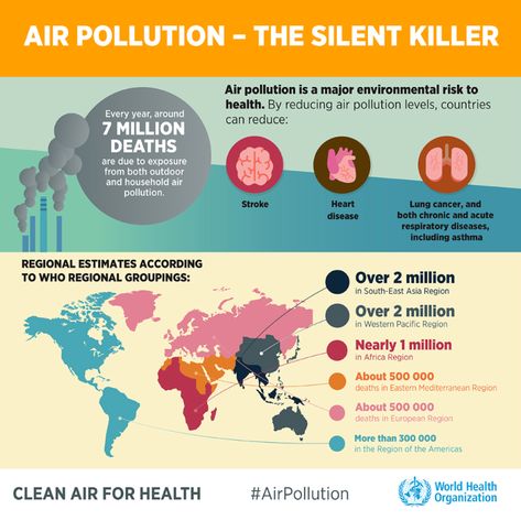 Air Pollution Project, Air Pollution Poster, Pollution Environment, Chronic Obstructive Pulmonary Disease, Dirty Air, La Pollution, Paris Agreement, Pulmonary Disease, Respiratory Diseases