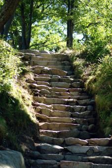 Nature, Stair Ladder, Reference Photos For Artists, House Stairs, Sierra Nevada, Nature Photos, Free Photos, Free Stock Photos, Free Images