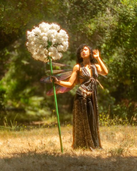 "Led me astray to the faerie soirée" 📷 Photographer ☆ @fayd_art 🧚‍♀️ Model ☆ @m3iday 🪽 wings by ☆ @thewingsua ☆ ☆ ☆ ☆ #fyp #fairyphptography #fairyphotoshoot #fairy #fairycore #fairygarden #fairytales #fairyphotography #fairyphoto #photography #photooftheday #photoshoot #photo #photograph #photofairy Fairy Core Photoshoot, Faerie Photoshoot, Fairy Concept Photoshoot, Fairy Theme Photoshoot, Fairy Photoshoot Ideas, Alice Photoshoot, Fairy Poses, Fairy Shoot, Monday Wear