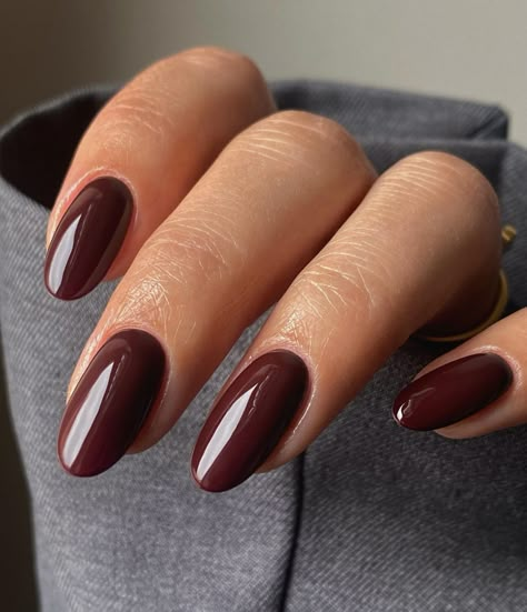 STELLAR GEL™ | CHERRY COLA ~ I’d have to say this has been the fall fav so far! Let us know what your favourite colour is for fall? Comment below ⬇️ 📸 … | Instagram Dark Brown Nails, Nail Ideas For Winter, Old Money Winter, Winter Nail Ideas, Brown Nail Polish, Color For Nails, 2024 Nails, Elegant Nail Art, Nail Drawing