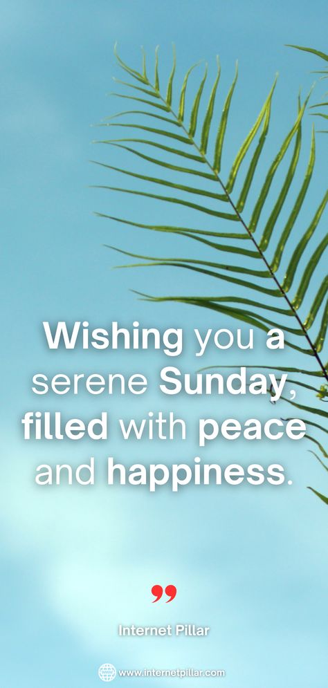 Wishing you a serene Sunday, filled with peace and happiness - 200+ Happy Sunday Wishes, Messages and Greetings - These specially curated wishes and greetings are an excellent means to show your affection for your friends and family, making them feel valued and loved.

Sunday is universally cherished as a day of leisure after a hectic week, a day for reconnecting with loved ones and basking in the serenity of the weekend. Sunday Message For Him, Happy Sunday Quotes Inspirational, Happy Sunday Wishes, Happy Sunday Messages, Sunday Messages, Sunday Wishes, Happy Sunday Quotes, Peace And Happiness, Good Morning Friends Quotes