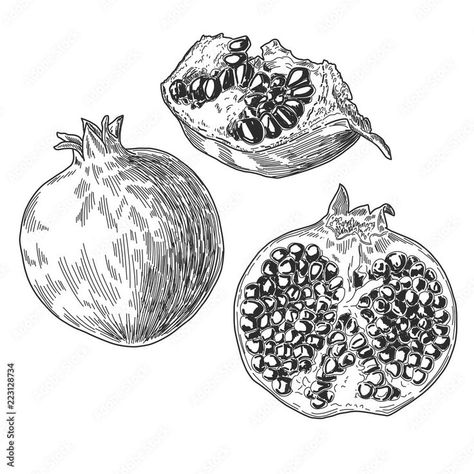 Pomegranate Drawing, Pomegranate Tattoo, Pomegranate Art, A Level Art, Matching Tattoos, Skin Art, Creative Tattoos, Artist Style, Beautiful Fantasy Art