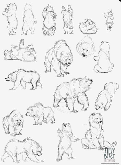 Drawing Eyes, Bear Sketch, Bear Drawing, Bear Tattoo, Animal Study, 캐릭터 드로잉, Anatomy Drawing, Bear Art, Animal Sketches