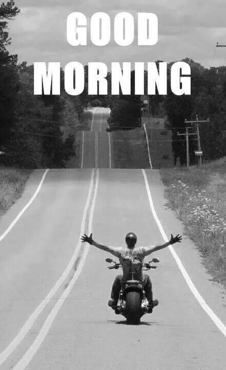 Good morning, Have a awesome day :) I'm going on a great Ride today.. <3 Motos Harley, No Hands, Biker Quotes, Motorcycle Quotes, Cb 750, Biker Lifestyle, Biker Life, Biker Chick, Body Fitness