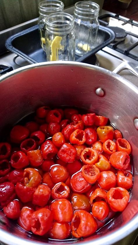 Peppadew pickling Pepper Dew Recipes, Peppadew Peppers Stuffed, Pepperdew Recipes, Peppadew Peppers Recipes, Pickled Peppers Recipe, Pickled Sweet Peppers, Pickled Pepper Recipe, Pickling Spices, High Calorie Diet