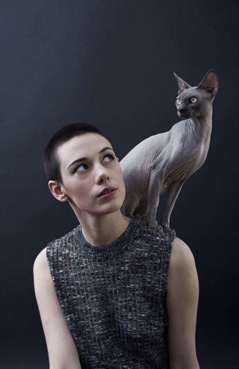 Pose Reference Photo With Cat, Sphynx Cat Photography, Cat Poses Reference, Poses With Cats, Human With Animal, Poses With Cat, Pose With Cat, Cat Pose Reference, Cat Reference Photo