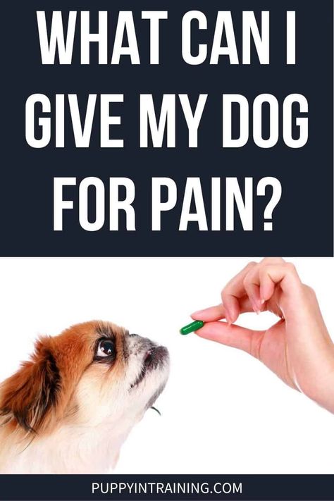 Dog Sprained Leg Remedy, Meds For Dogs, Hip Pain Relief, Pain Relief Remedies, Natural Pain Relievers, Dog Remedies, Medication For Dogs, Dog Joints, Dog Leg