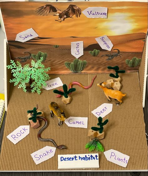 Desert Habitat Activities, Desert Habitat Project, Desert Habitat Projects For Kids, Desert Biome Project Ideas, Desert Ecosystem Project, Animal Habitat Craft, Preschool Habitats, Dessert Animals, Desert Crafts