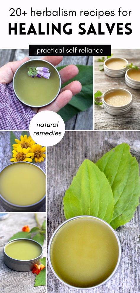 Homemade Salve Recipes, Herbal Salve Recipes, Healing Salve Recipe, Prunella Vulgaris, Herbal Medicine Recipes, Healing Salve, Herbal Remedies Recipes, Salve Recipes, Herbal Salves