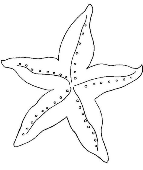 Starfish Drawing, Starfish Colors, Diy Beach Decor, Fish Coloring Page, Cartoon Disney, Air Dry Clay Projects, Laser Art, Fish Drawings, Art Tools Drawing