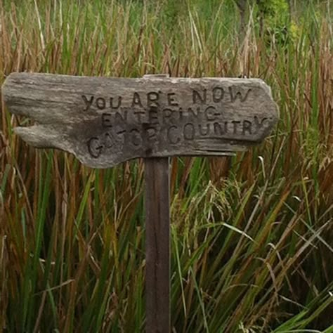 New Orleans Swamp, Southern Gothic Aesthetic, Montgomery Gator, Jean Lafitte, Louisiana Swamp, Swamp Tours, Louisiana Bayou, Widget Ideas, Gothic Garden