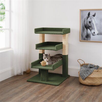 Kitten Tower, Cat Climbing Tower, Cat Condos, Climbing Tower, Cat Towers, Cat Activity, Furniture Scratches, Cat Stands, Cat Condo