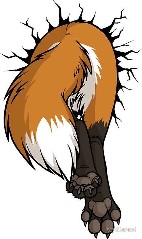 (#FaintingPets #FunnyAnimals) Anthropomorphic Ideas, Fox Artwork, Fox Drawing, Couch Potato, Anime Wolf, Fox Art, Cute Fox, Cartoon Art, Animal Art