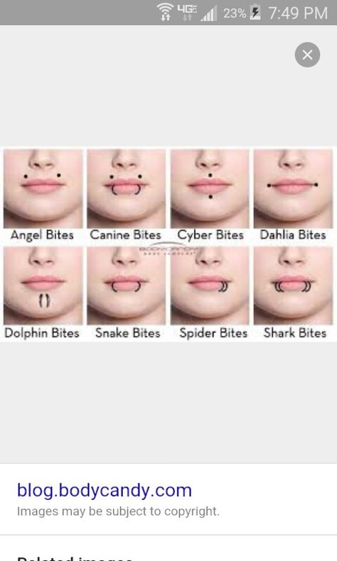 Types of lip piercings Lip Piercing Types, Piercings For Oval Face, Piercings Reference, Types Of Face Piercings, Types Of Facial Piercings, Piercing Apprenticeship, Facial Piercings Aesthetic, Lip Piercings Aesthetic, Double Lip Piercing