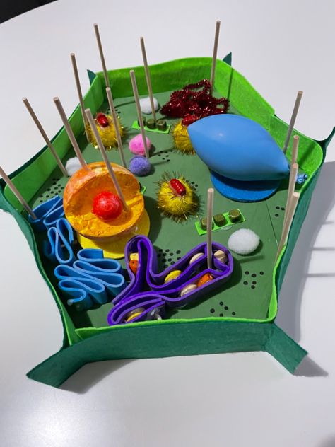 Plant Cell Shoe Box Project, Diy Cell Model, Diy Plant Cell Model, Biology Ideas Projects, Cell Model Project Plant, 3d Plant Cell Project Ideas, Plant Cell Model Project Ideas, Cell Membrane Model Projects, Cell 3d Project