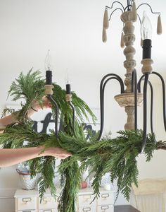 How to Decorate a Chandelier for Christmas Decorate Chandelier For Christmas, Decorating A Chandelier For Christmas, How To Decorate A Chandelier, Christmas Chandelier Ideas, Chandelier Christmas Decor, Christmas Chandeliers, Christmas Chandelier Decor, Prairie Christmas, Decorate Chandelier