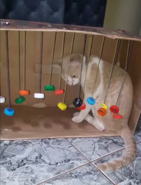 Diy Cat Toys Easy, Katt Diy, Katt Grejer, Chat Diy, Kat Diy, Diy Cat Bed, Colorful Hairstyles, Cat Entertainment, Homemade Cat Toys