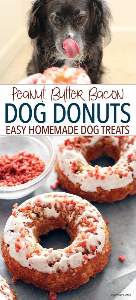 Yogurt Frosting, Lou Dog, Homemade Pet Treats, Pet Treats Recipes, Bacon Dog, Dog Treats Homemade Easy, Easy Dog Treat Recipes, Cookies Homemade, Dog Biscuit Recipes