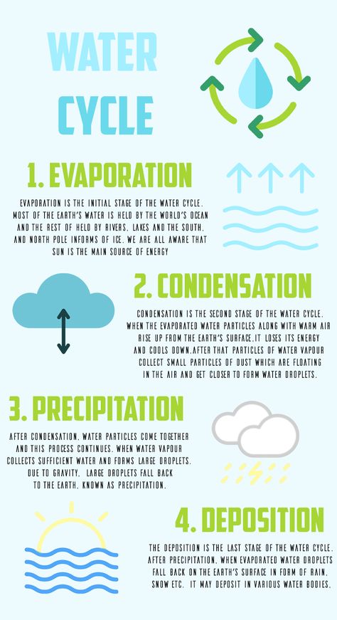 Water Cycle Notes, Water Cycle Project Poster, Water Cycle Process, Evaporation And Condensation, Water Cycle Poster, Water Cycle Project, Water Cycle Diagram, Water Facts, Science Anchor Charts