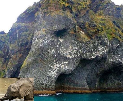 Top 10 Amazing Animal Shaped Rock Formations Arugam Bay, Elephant Rock, Eagle In Flight, Popular Travel Destinations, Earth Pictures, Dog Rocks, Natural Rock, Rock Formations, Travel Nature