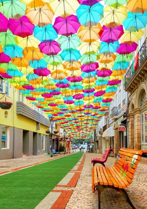 OThingstodo on X: "5. Águeda, Portugal 🇵🇹 Águeda, Portugal's streets are famous for their colorful umbrella canopies, creating a vibrant, whimsical atmosphere and providing artistic shade for visitors. https://t.co/GTVoTY0jIp" / X Umbrella Street, Planets Images, Brooklyn Neighborhoods, Street Image, Building Images, Colorful Umbrellas, Washington Street, World Images, Beautiful Streets