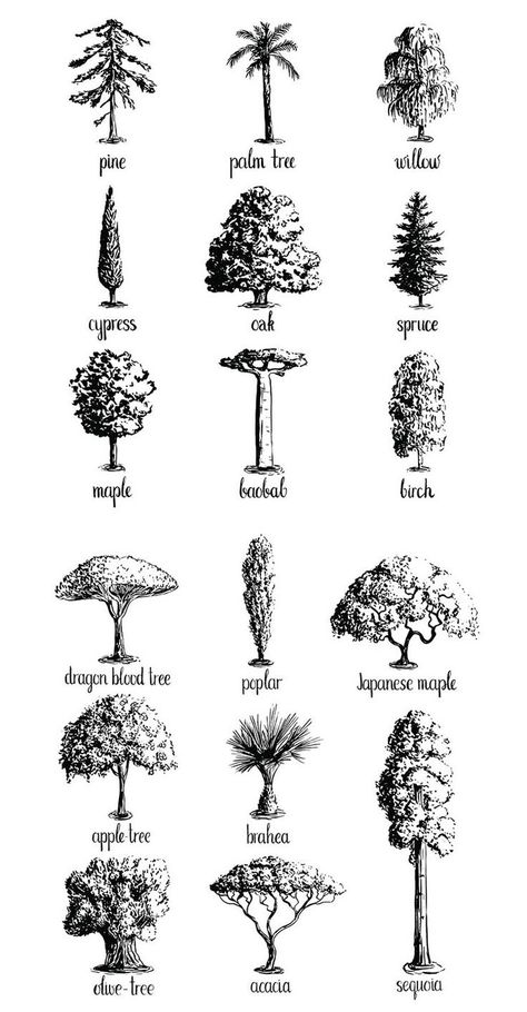 Drawing Hands, Croquis, Trees Art Drawing, Trees Drawing Tutorial, Forest Sketch, Plant Sketches, Tree Drawings Pencil, Tree Doodle, Forest Drawing