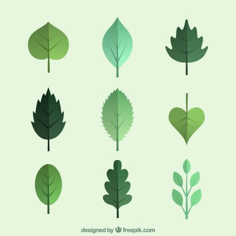 Leaf Vectors, Photos and PSD files | Free Download Green Leaves Illustration, Leaf Outline, Simple Portrait, Leaves Illustration, Alphabet Images, Leaf Illustration, Plant Vector, Leaf Images, Leaves Vector