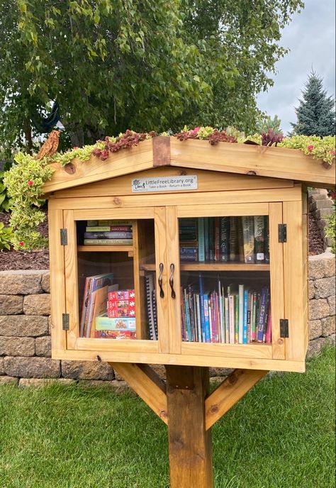 Succulent garden on the roof of our Little Free Library. Front Yard Library, Outdoor Bookshelf Ideas, Free Book Library Diy, Portable Library Ideas, Outdoor Library Design, Outside Book Library, Tiny Free Library, Outside Library Ideas, Outdoor Library Boxes