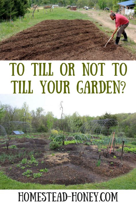 Should you till your garden or rely on no-till methods? I share my experience with both techniques. Tilling A New Garden, No Till Garden Layout, No Till Gardening, Suburban Homestead, Garden Prep, Colonial Garden, Lawn Alternatives, Hollow Earth, Potager Garden