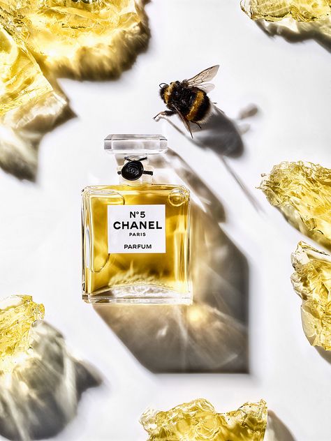 CHANEL NO 5 on Behance Chanel No5, Chanel Cosmetics, Fragrance Photography, Parfum Chanel, Mini Perfume, Instagram Prints, Chanel No 5, Chanel Perfume, Classic Brides