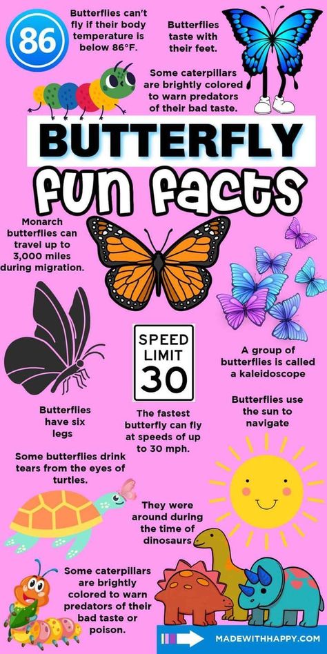 Butterfly fun facts are a great way to discover the mysterious world of butterflies. Kids will learn in a bright and exciting way with this fun fact chart. Add this to your school day and answer those pressing questions about these beautiful insects. Fun Facts Animals, Monarch Butterfly Activities For Kids, Butterfly Activities For Kids, Different Kinds Of Butterflies, Preschool List, Facts About Butterflies, Butterfly Facts For Kids, Rainforest Crafts, Handprint Butterfly