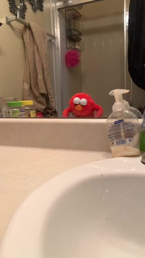 Elmo Videos, Elmo Memes, Elmo World, Hilarious Videos, Kermit Funny, Playlist Ideas, Funny Cartoons Jokes, 웃긴 사진, Funny Dude