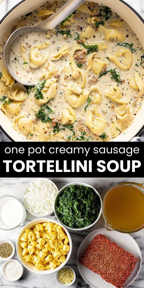 This creamy Italian sausage tortellini and kale soup is cozy comfort food in a bowl. The Italian sausage adds tons of flavors and pairs well with the cheesy tortellini and fresh kale in a creamy, herby broth. It’s easy to make, hearty, and satisfying – AND it all comes together in one pot in less than 30 minutes! Kale Tortellini Soup Sausage, Alfredo Sausage Lasagna Soup, One Pot Creamy Tortellini Soup, Italian Sausage Recipes With Tortellini, Creamy Alfredo Lasagna Soup With Sausage, Italian Sausage Kale Tortellini Soup, Cheesy Italian Sausage Soup, Kale And Tortellini Soup, 30 Minute One Pot Creamy Italian Sausage Tortellini Soup