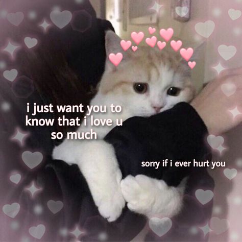 cute wholesome cat i love you Cat Love You Too Meme, Love You Cat Funny, Cute Cats With Text, Cat I Love You Meme Funny, Wholesome I Love You, I Loaf You Cat, Cat Messages Love, Cat Love You Meme, Send Pics Of You