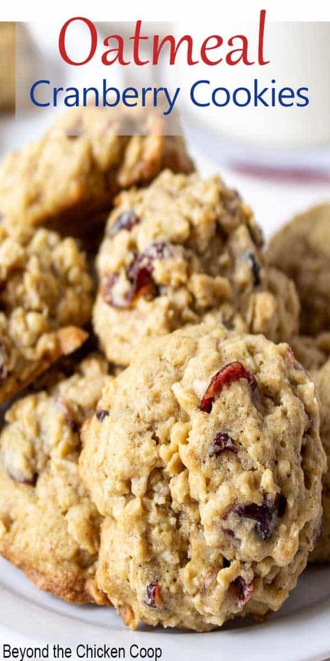 Cranberry Orange Oatmeal Cookies, Orange Oatmeal Cookies, Cranberry Orange Oatmeal, Oatmeal Craisin Cookies, Cranberry Treats, Cranberry Cookie, Orange Oatmeal, Cranberry Oatmeal Cookies, Cranberry Cookies Recipes