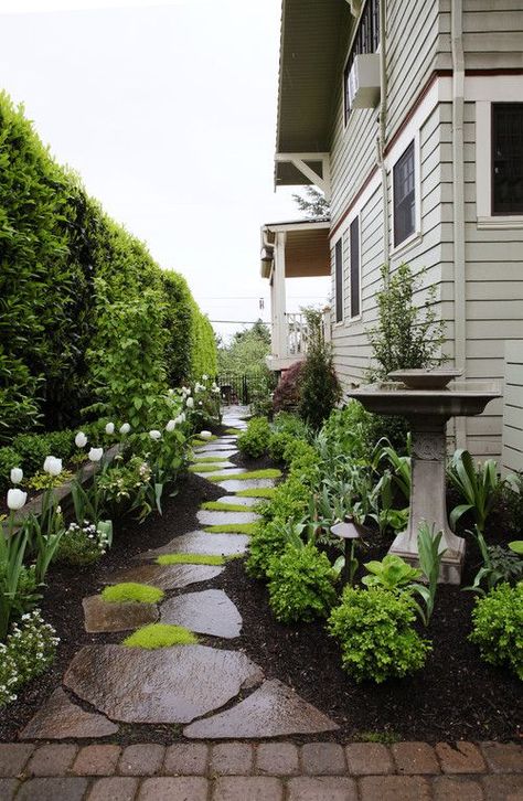 Quick Tips on Landscaping – GreyHunt Interiors Landscaping Along Fence, Side Yard Landscaping, Pathway Landscaping, Ragdoll Kittens, Small Front Yard Landscaping, Front Yard Design, Flowers And Greenery, Walled Garden, Rock Garden Landscaping