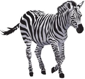 Zebra Print Background, Zebra Background, Zebra Coloring Pages, Zebra Clipart, Aesthetic Clipart, Zebra Cartoon, Zebra Drawing, Preschool Activities Toddler, Wild Safari