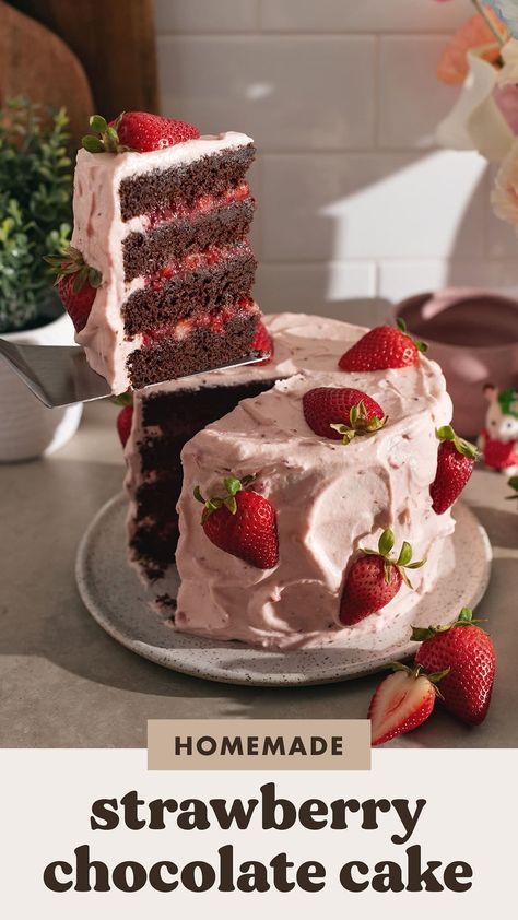 Chocolate Cake Topped With Strawberries, Chocolate Cake With Strawberry Cream Cheese Filling, Strawberries And Cream Cake Filling, How To Decorate A Cake With Strawberries, Chocolate Cake Strawberry Filling, Easy Chocolate Strawberry Cake, Dark Chocolate Strawberry Cake, Summer Chocolate Cake, Strawberry Chocolate Cake Recipe