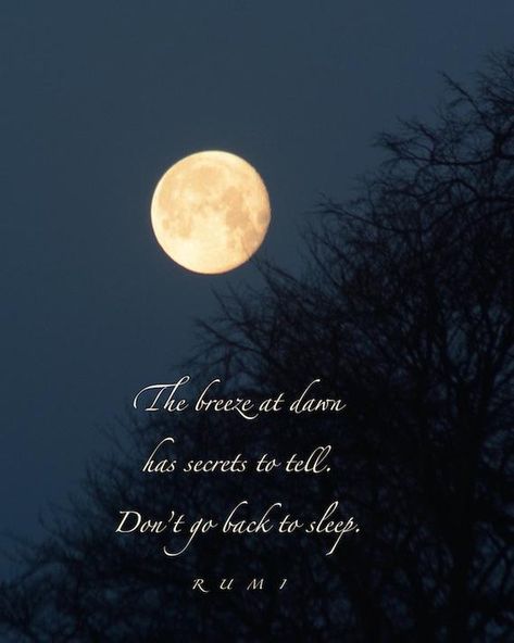 The breeze at dawn has secrets to tell. Don't go back to sleep. - Rumi Secrets To Tell, Moon Love Quotes, Dawn Quotes, Rumi Poetry, Rumi Love Quotes, Rumi Love, Moon Quotes, Golden Moon, Stay Awake