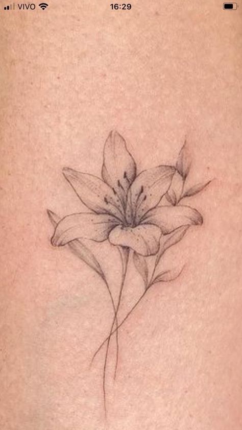 Small Tiger Lilly Flower Tattoo, Lily With Stem Tattoo, Azaleas Tattoo Flower, Lewisia Flower Tattoo, Stargazer Flower Tattoo, Small Azalea Flower Tattoo, White Lily Flower Tattoo, Simple Tiger Lily Tattoo, Azalea Tattoo Simple