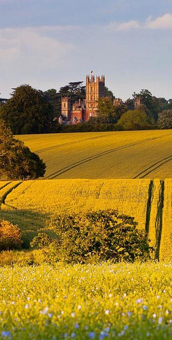 Highclere Castle - Hampshire, England Hampshire England, Pretty View, Highclere Castle, Hampshire Uk, Chateau France, Carl Sagan, England And Scotland, Amazing Travel, English Countryside