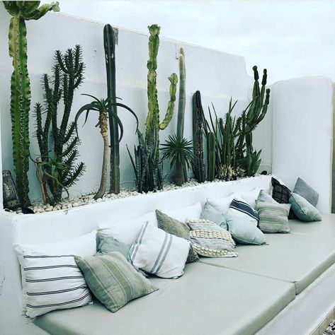 Courtyard Gardens Design, Outdoor Seating Area, Backyard Inspo, Outdoor Restaurant, Roof Garden, Courtyard Garden, Desert Landscaping, Outdoor Rooms, Pool Designs