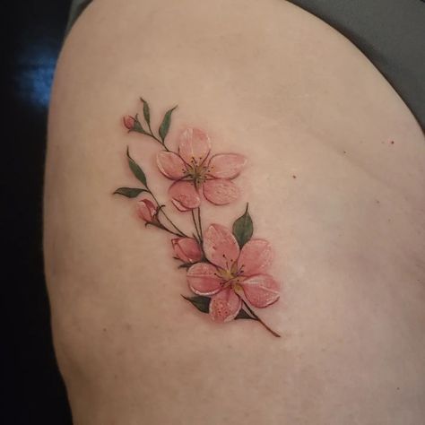 Enchanting apple blossom tattoo done by @kristylynneart! The faint yet lovely colours make this piece more appealing! Amazing choice for a first tattoo!! 🌸😊⁠ Crabapple Tattoo, Crab Apple Tree Tattoo, Apple Blossom Flower Tattoo, Apple Flower Tattoo, Apple Blossom Drawing, Abdominal Tattoo, Peach Blossom Tattoo, Apple Blossom Tattoo, Apple Blossom Tattoos